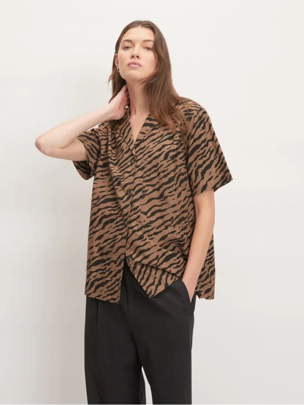 Everlane womens the poplin shirt tiger stripe toasted coconut